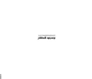 www.davidegroppi.com