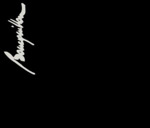 www.michelboucquillon.com